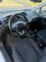 Ford Fiesta Fiesta 5p 1.4 16v Titanium Business Gpl Weiß - thumbnail 9