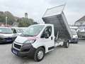 Peugeot Boxer BOXER 3,5T DREISEITENKIPPER KLIMA 1.HAND 136 PS Weiß - thumbnail 15
