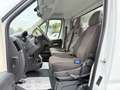 Peugeot Boxer BOXER 3,5T DREISEITENKIPPER KLIMA 1.HAND 136 PS Weiß - thumbnail 2