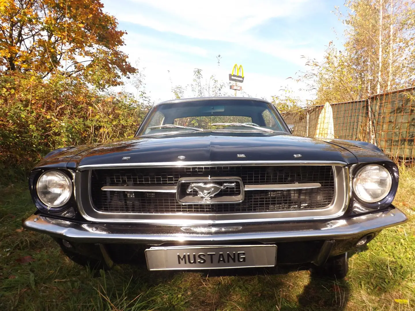 Ford Mustang Coupe, eins der Allerbesten, wie neu ! Blau - 2
