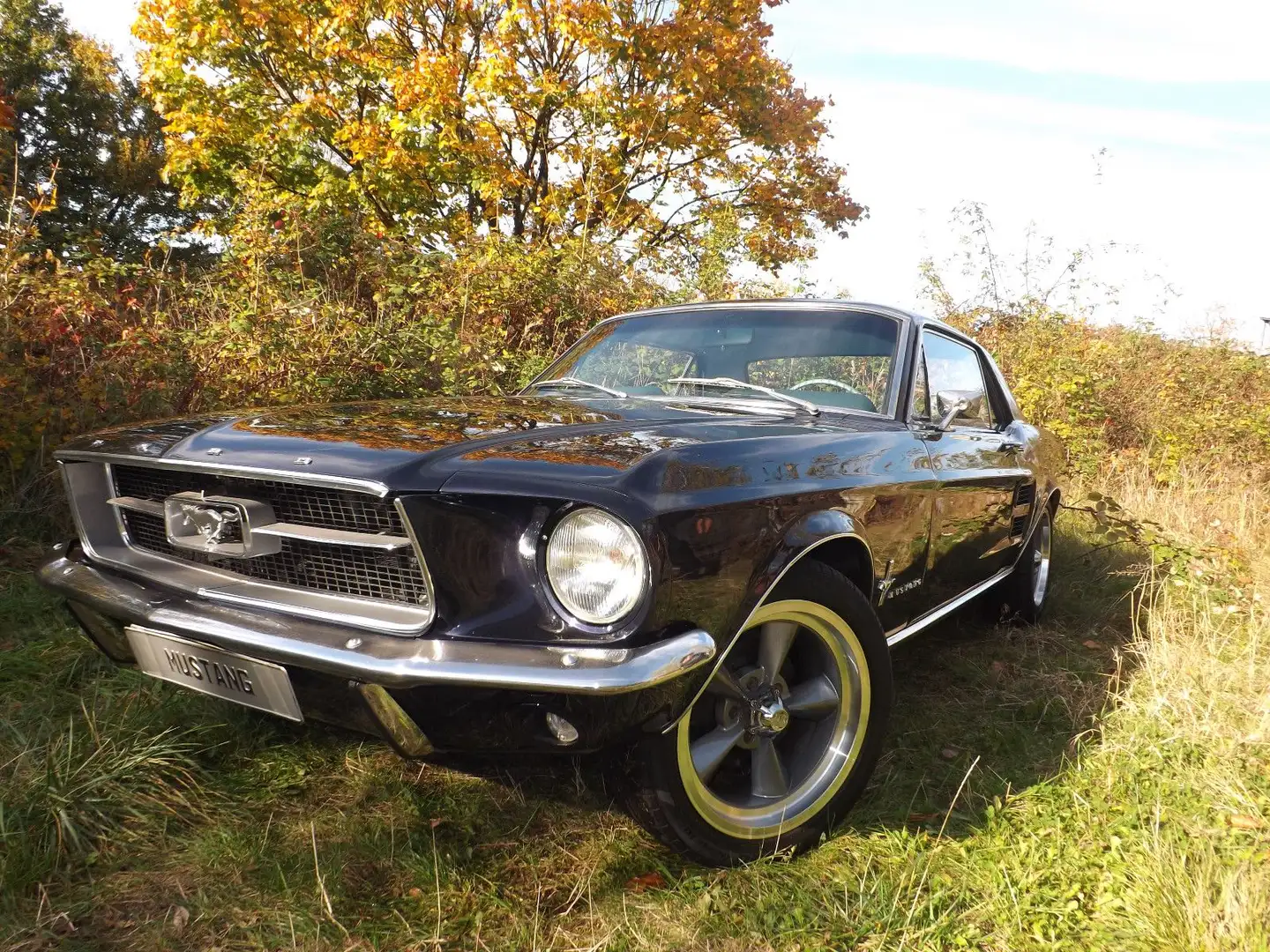 Ford Mustang Coupe, eins der Allerbesten, wie neu ! Blau - 1