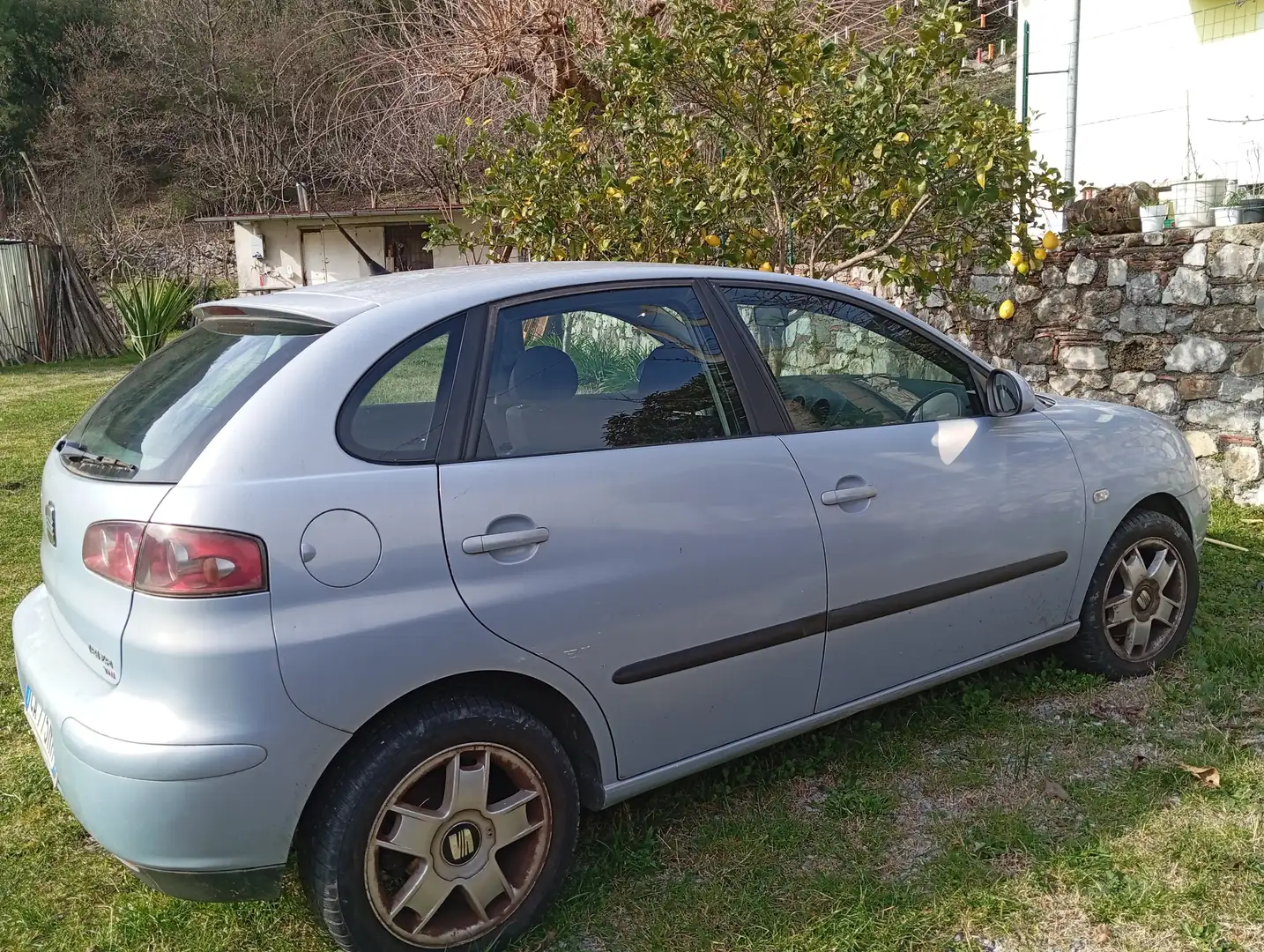 SEAT Ibiza Ibiza+5p+1.9+tdi+Sport+130cv - 1