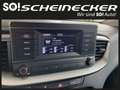 Kia Ceed / cee'd ceed 1,0 T-GDI GPF Titan Blanc - thumbnail 17