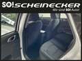 Kia Ceed / cee'd ceed 1,0 T-GDI GPF Titan Blanc - thumbnail 8