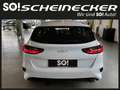 Kia Ceed / cee'd ceed 1,0 T-GDI GPF Titan Weiß - thumbnail 6