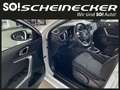 Kia Ceed / cee'd ceed 1,0 T-GDI GPF Titan Blanc - thumbnail 10