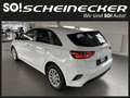 Kia Ceed / cee'd ceed 1,0 T-GDI GPF Titan Weiß - thumbnail 3