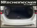 Kia Ceed / cee'd ceed 1,0 T-GDI GPF Titan Blanc - thumbnail 7