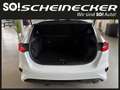 Kia Ceed / cee'd ceed 1,0 T-GDI GPF Titan Weiß - thumbnail 7