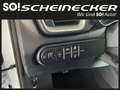 Kia Ceed / cee'd ceed 1,0 T-GDI GPF Titan Weiß - thumbnail 13