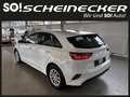 Kia Ceed / cee'd ceed 1,0 T-GDI GPF Titan Weiß - thumbnail 3