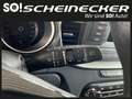 Kia Ceed / cee'd ceed 1,0 T-GDI GPF Titan Blanc - thumbnail 21