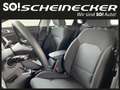 Kia Ceed / cee'd ceed 1,0 T-GDI GPF Titan Blanc - thumbnail 11