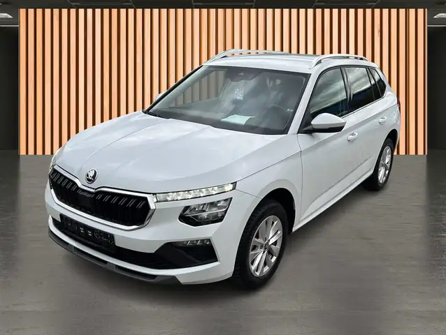 Skoda Kamiq view 2