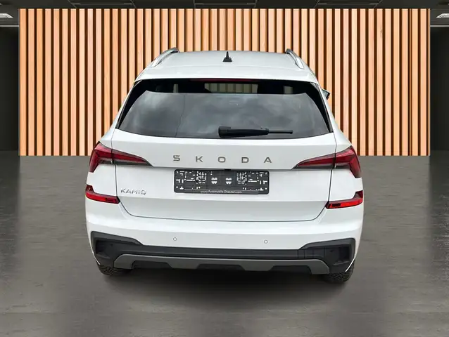 Skoda Kamiq view 23