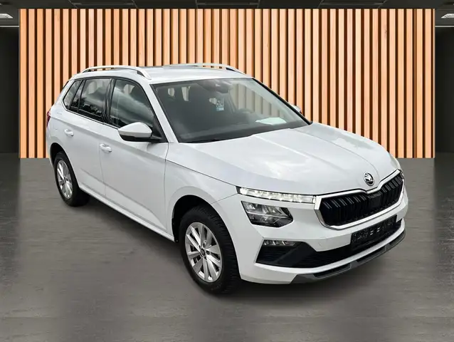 Skoda Kamiq view 21