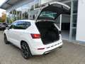 CUPRA Ateca 2.0 TSI VZ 4Drive DSG Navi Kamera LED 4x4 Blanc - thumbnail 20