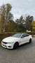 BMW 440 440i xDrive Coupe M Sport Aut. - thumbnail 9
