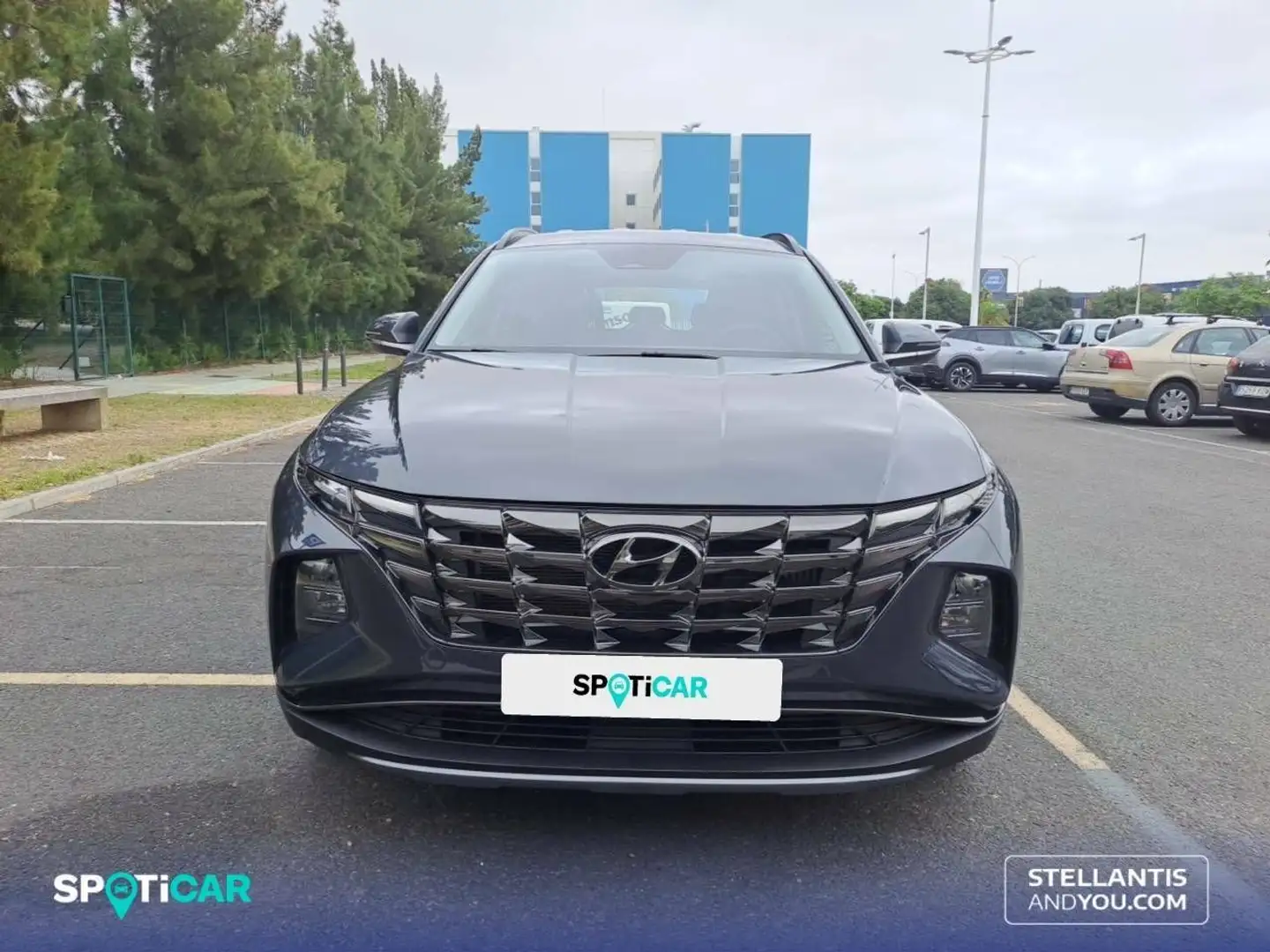 Hyundai TUCSON 1.6 TGDI 169kW (230CV) HEV  Sky Auto Maxx Gris - 2