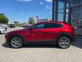 Mazda CX-30 2.5 (140PS) Schalter Centre-Line Des-P. Ma Rot - thumbnail 3