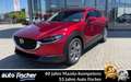 Mazda CX-30 2.5 (140PS) Schalter Centre-Line Des-P. Ma Rot - thumbnail 1