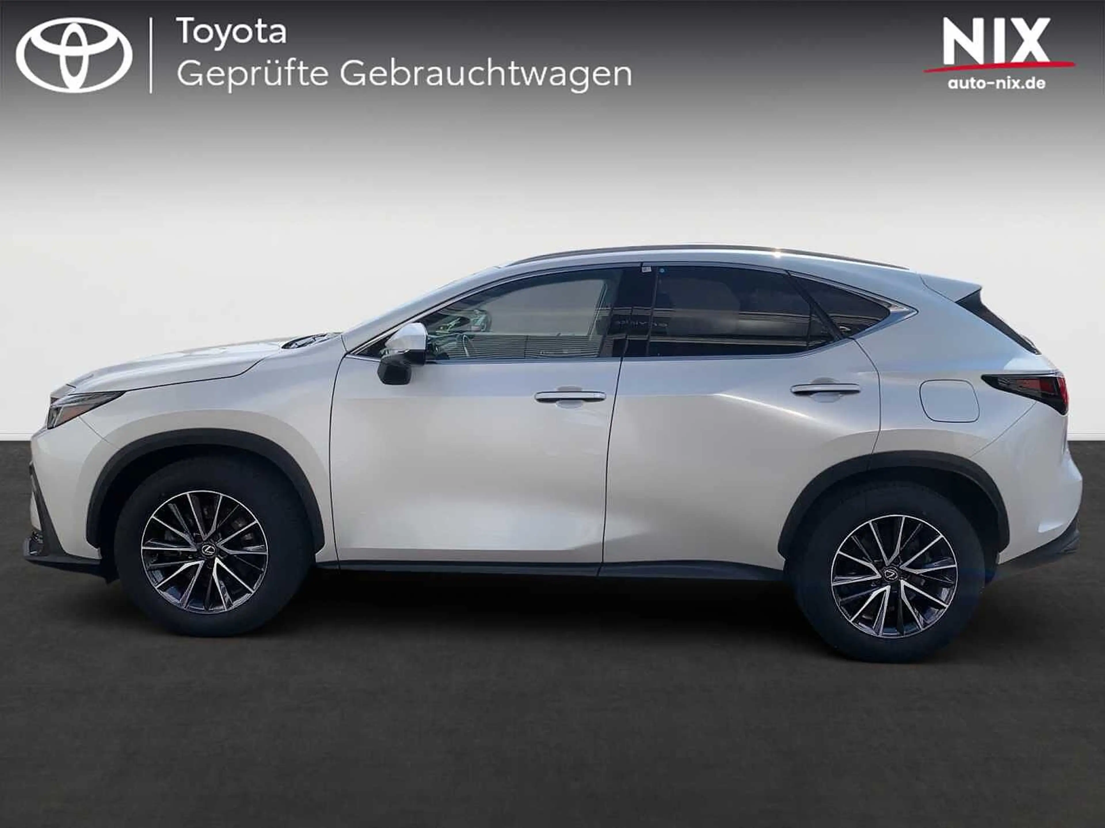 Lexus NX 450h+ Plug-In E-FOUR Business KAMERA 8-FACH — photo 3