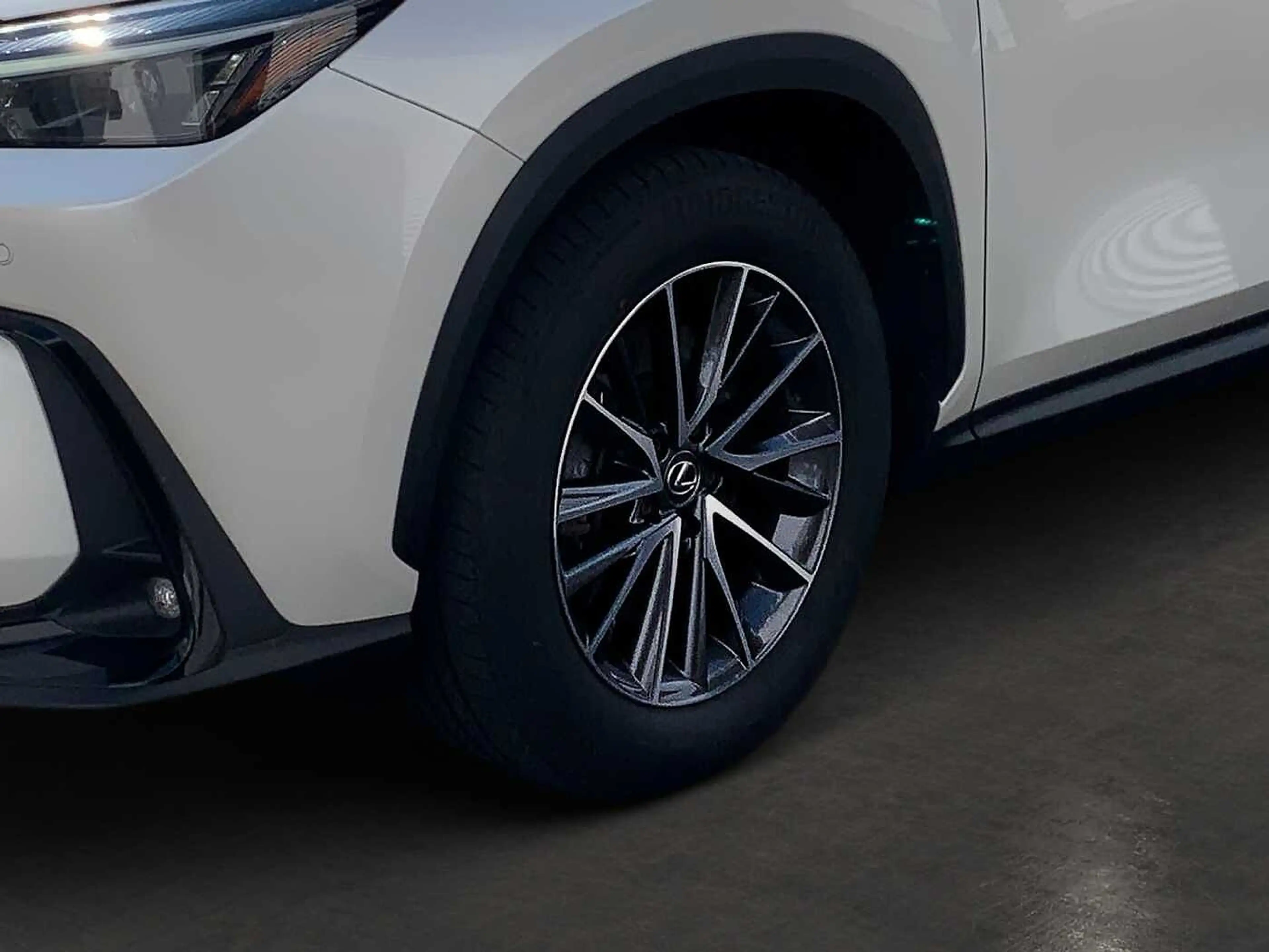 Lexus NX 450h+ Plug-In E-FOUR Business KAMERA 8-FACH — photo 13