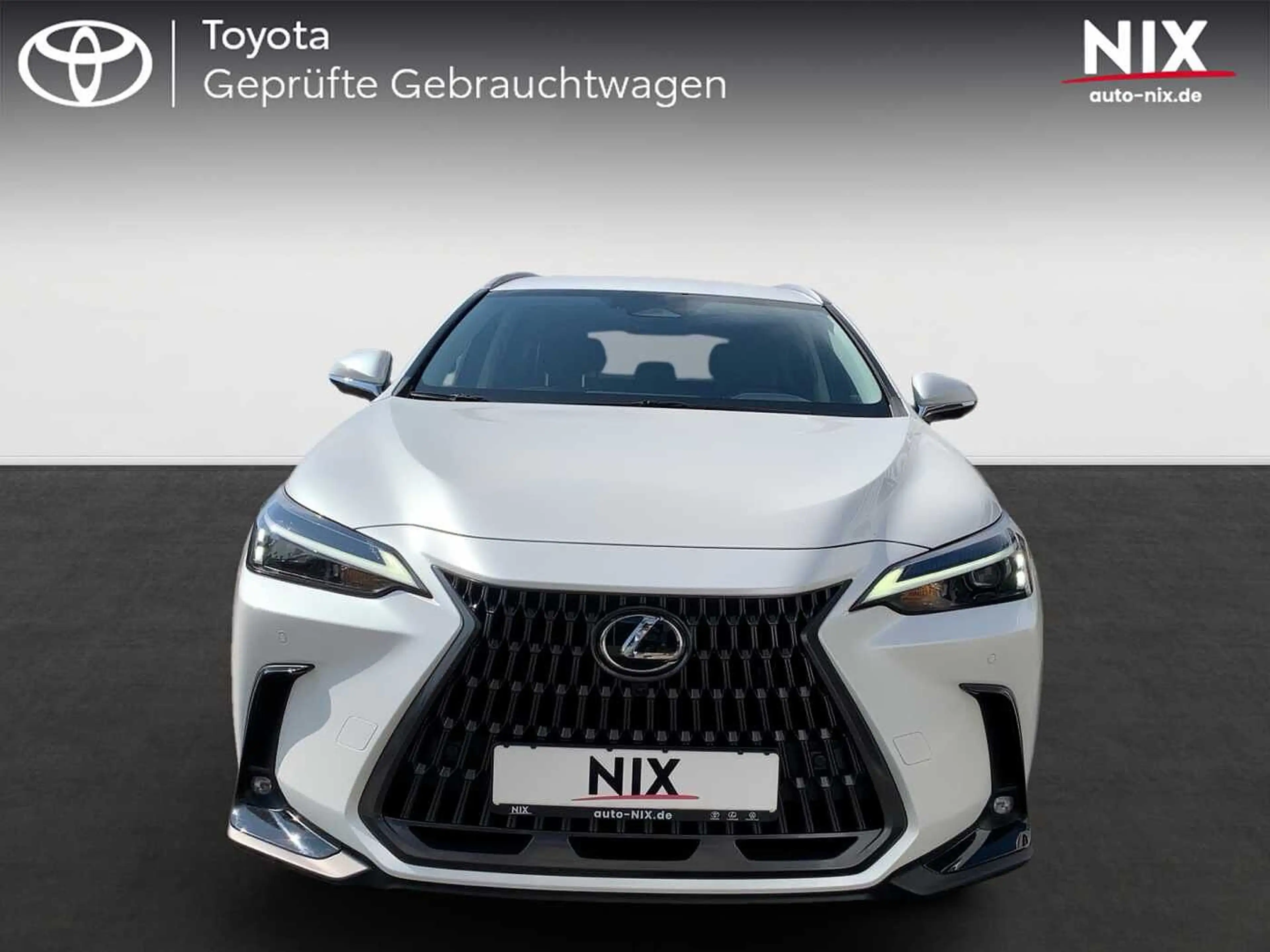 Lexus NX 450h+ Plug-In E-FOUR Business KAMERA 8-FACH — photo 5