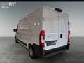 Toyota Proace Max L3H2 Kasten 2.2 Work 3,5t Weiß - thumbnail 4