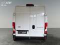 Toyota Proace Max L3H2 Kasten 2.2 Work 3,5t Blanc - thumbnail 5
