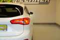 Ford Focus Turnier 1,5 EcoBl. ''AHK*NAVI*SITZH*R-KAM'' Weiß - thumbnail 6