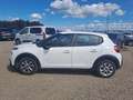 Citroen C3 BLUEHDI 75 BUSINESS COMBI N1 5 posti -  FN055RJ Bianco - thumbnail 8