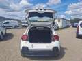 Citroen C3 BLUEHDI 75 BUSINESS COMBI N1 5 posti -  FN055RJ Bianco - thumbnail 5