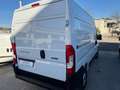 Fiat Ducato Ducato 33 2.3 MJT 140CV PM-TM Furgone Bianco - thumbnail 4