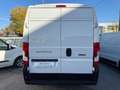 Fiat Ducato Ducato 33 2.3 MJT 140CV PM-TM Furgone Bianco - thumbnail 5
