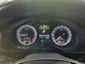 Skoda Kodiaq 2,0 TDI Ambition SC DSG *3 Jahre Garantie Grün - thumbnail 11