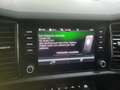 Skoda Kodiaq 2,0 TDI Ambition SC DSG *3 Jahre Garantie Grün - thumbnail 17