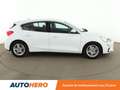 Ford Focus 1.5 EcoBlue Trend Business Blanc - thumbnail 7