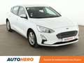 Ford Focus 1.5 EcoBlue Trend Business Blanc - thumbnail 8