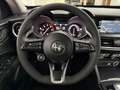 Alfa Romeo Stelvio 2.2 TD 190 CV BUSINESS AT8 Q4 PADDLE RETROCAMERA Rot - thumbnail 39