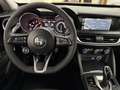Alfa Romeo Stelvio 2.2 TD 190 CV BUSINESS AT8 Q4 PADDLE RETROCAMERA Rot - thumbnail 9
