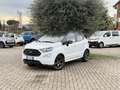 Ford EcoSport 1.0 100Cv ecoboost ST-Line Bianco - thumbnail 3