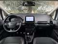 Ford EcoSport 1.0 100Cv ecoboost ST-Line Bianco - thumbnail 10