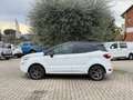 Ford EcoSport 1.0 100Cv ecoboost ST-Line Bianco - thumbnail 8