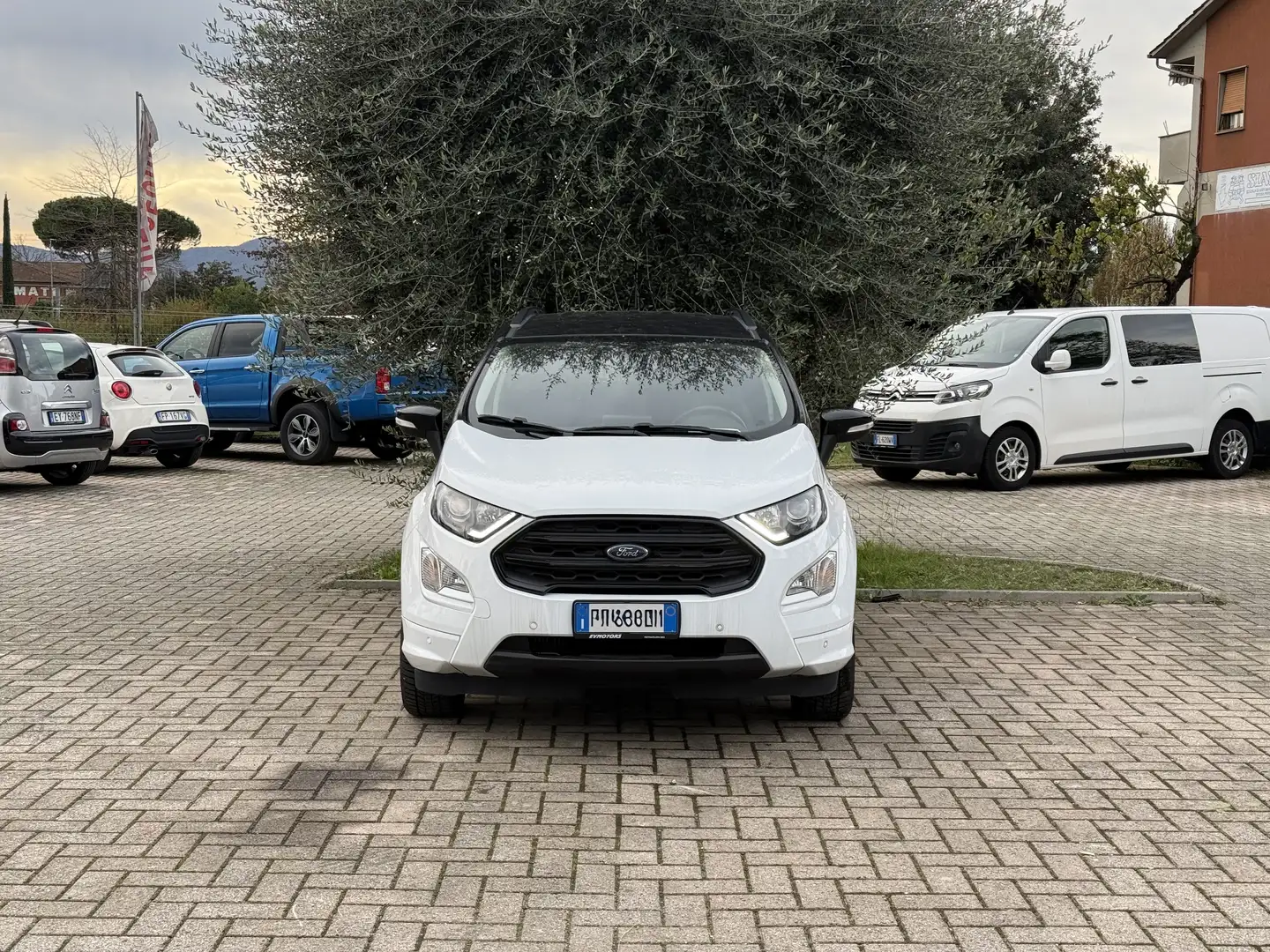Ford EcoSport 1.0 100Cv ecoboost ST-Line Bianco - 2