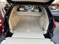 BMW X5 sdrive25d Experience 231cv-unipro-rate-garanzia-E6 - thumbnail 17