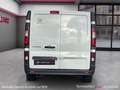 Renault Trafic TRAFIC FGN L1H1 1200 KG DCI 125 ENERGY E6 GRAND CONFORT Bianco - thumbnail 6
