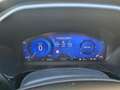 Ford Kuga 1.5 EcoBlue 120 CV AT Titanium Business Grau - thumbnail 17