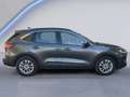 Ford Kuga 1.5 EcoBlue 120 CV AT Titanium Business Grau - thumbnail 7