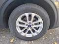 Ford Kuga 1.5 EcoBlue 120 CV AT Titanium Business Grau - thumbnail 9